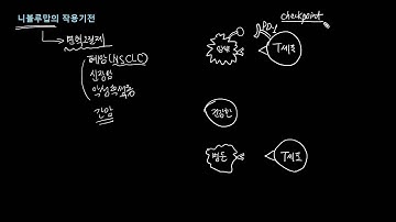 니볼루맙(면역항암제)의 작용기전