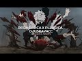 DESINGERICA X PLJUGICA - DJUSKAVACC [slowed & reverb]