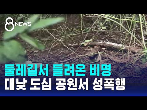   대낮 서울 도심 공원에서 성폭행 피해자 의식불명 위독 SBS 8뉴스