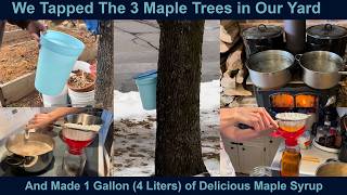 Our Small Maple Syrup Production