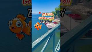 Konya Beyşehir Tayat Tolca Balık Evi Şehir