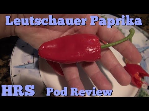 Video: Skillnaden Mellan Paprika Och Söt Paprika