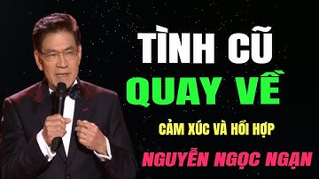 TÌNH CŨ QUAY VỀ - Nguyễn Ngọc Ngạn | Đọc Truyện Đêm Khuya
