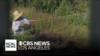 Houses prepared for wildfires by West Covina business