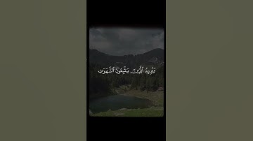 وَاللَّهُ يُرِيدُ أَن يَتُوبَ عَلَيْكُمْ | سورة النساء| إسلام صبحي 🤍.#اجر_لي_ولك #راحة_نفسية #قرآن