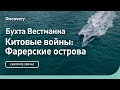 Бухта Вестманна | Китовые войны: Фарерские острова | Discovery