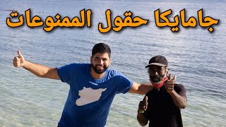 جامايكا الحياة على الشاطئ وزراعت الممنوعات في الحقول #Moalfadel