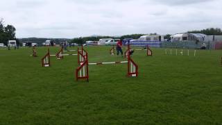 Gloria & Murphy Grade 2 Jumping, Golden Valley
