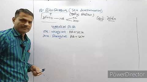 Std 12|| Chap 5 Topic: લિંગનિશ્ચયન Part 10(1)|| Biology Gujarati Medium by S.R Sir