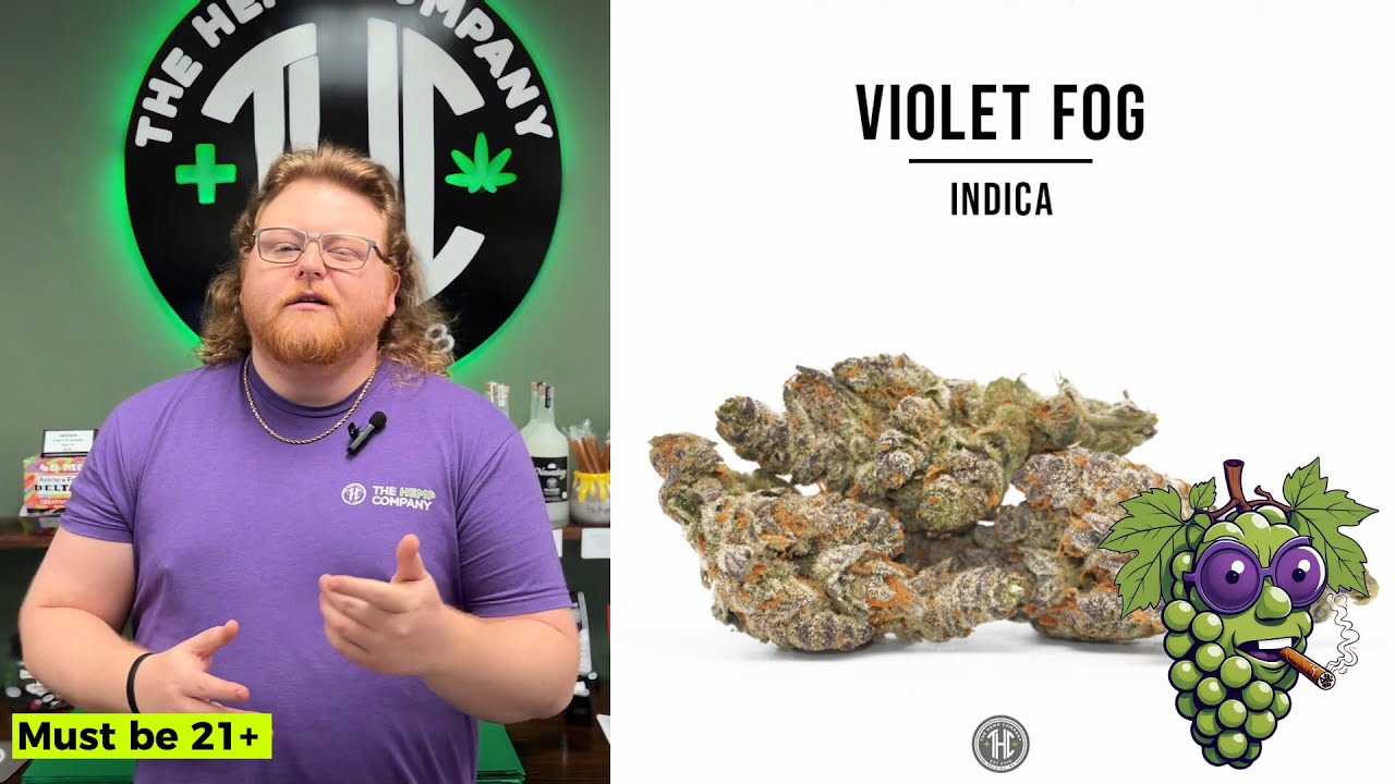 Violet Fog Strain Review: Is It REALLY That Purple?
