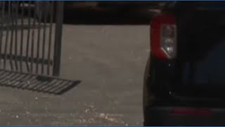 Sacramento-area freeway shootings appear to be random act of violence