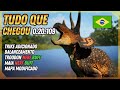 TUDO QUE CHEGOU! Trike, Spawn Code, Buffs/Nerfs, Novas áreas no mapa e mais!