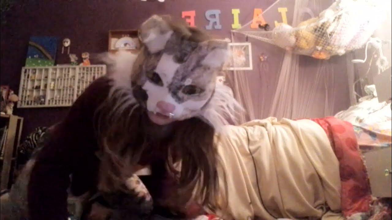 Cat end. Cat end