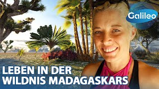 Auf der Suche nach dem Glück: Maria's Abenteuer in Madagaskar