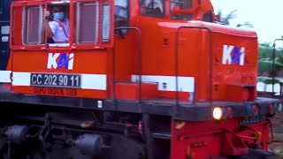 Kereta Api Batu Bara Rangkaian Panjang Babaranjang Pulp 3 Lokomotif CC 204, CC 204, CC 202.