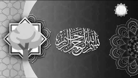 سورة الزلزلة / ( مكرره 41 مره) / الشيخ محمد الفقيه حفظه الله تعالى