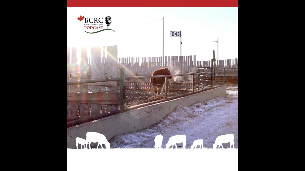 Episode 98: Stop Foot and Mouth Disease at the Gate