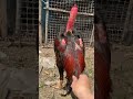 Sáng thứ 2 đầu tuần