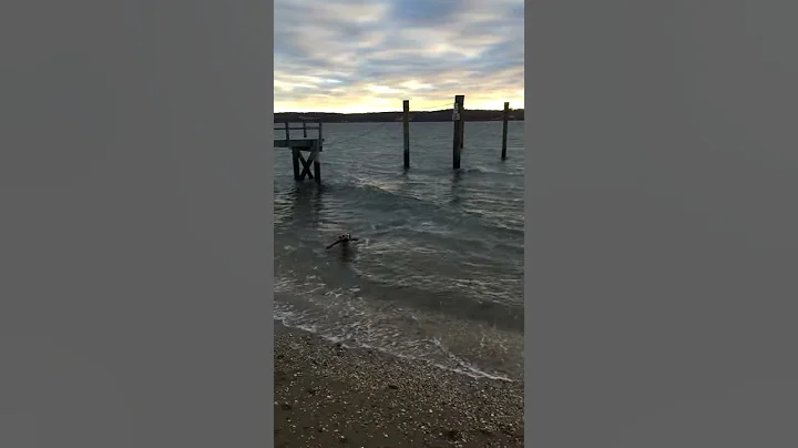 Agnes Lloyd Harbor beach