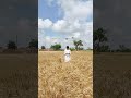 Welcome 😍 Mini vlog 😂 _ #shorts #drone #funny #vlog #minivlog #djidrone #comedy #viralshorts