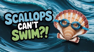 Scallop Theorem Violations: How Do Tiny Things Move Without Muscles?