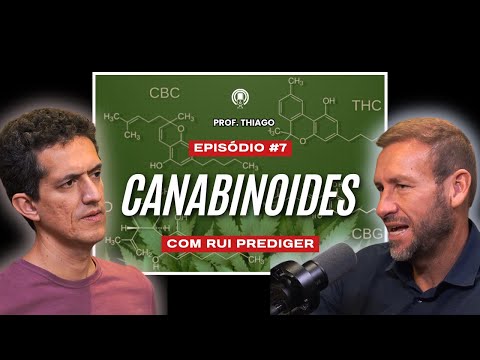 Canabinoides no tratamento de doenças neurodegenerativas: bate-papo com Rui Prediger
