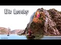 Die Loreley German Folk Song With English Translation Dr Ludwig Reupload mp3