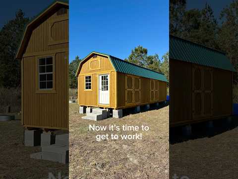 Converting a Shed