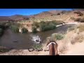 صيد الخيول البرية..اذا كنت ترغب بمعرفت كيف يتم ترويضها اشترك بلقناة وفعل زر الجرس وضغط  الايك 👍👍