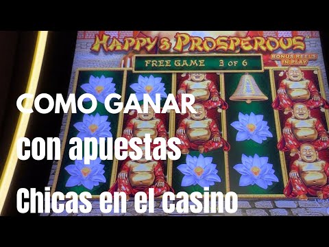 mejor juego que el del dinosaurio casino (dino mystake)
