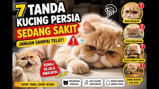 Hati-Hati! Ini Tanda Kucing Persia Tidak Sehat