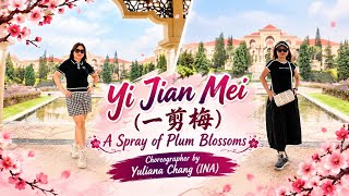 YI JIAN MEI | 一剪梅 | A Spray of Plum Blossoms | Line Dance | Beginner