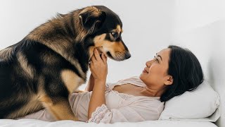 Kisah Nyata!! Anjingku Menjilat Kacangku Sampai Membuatku Ketagihan Setiap Suamiku Pergi