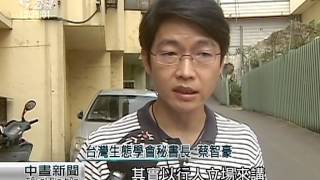 調查:中市汽機車亂停 對行人不友善 20151007 公視中晝