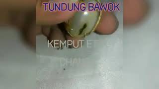 Mustika Batu Combong Tunduk Bawok