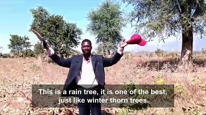 Agroforestry - Esnart Kanyenda, Malawi