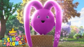 SUNNY BUNNIES COMPILATIONS SING ALONG  LONG EARS SONG | Cartoons for Kids
