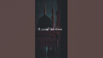 #راحة_نفسية #اكسبلور #دويتو #سورة الأنبياء #quranismylife #لايك