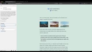 Using WordPress - Customizer - Homepage Settings