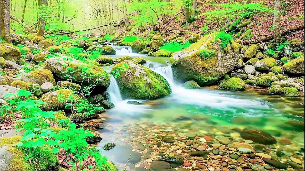 Natural River Sound for Deep Sleep | Stress Relief Audio for Health & Mindfulness