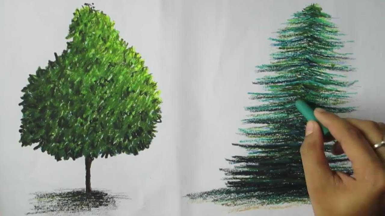 How To Paint Trees With Oil Pastel Youtube Oil Pastel Art Oil Pastel Colours Oil Pastel