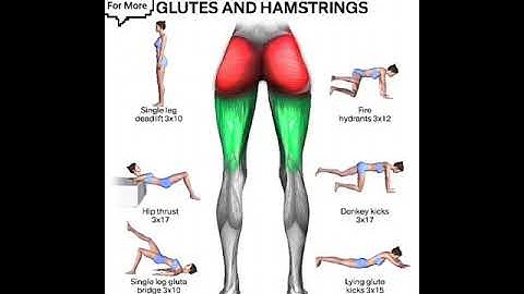 Glutes and hamstrings workout | Glutes workout | Hamstrings workout #shorts #hamstrings
