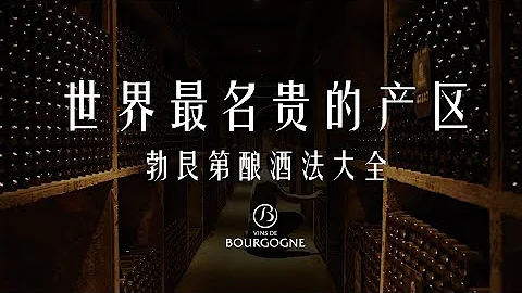 為什麼這個產區的酒能單瓶上萬：勃艮第釀酒工藝 How to Produce Prestigious Wine: Winemaking in Burgundy - 天天要聞