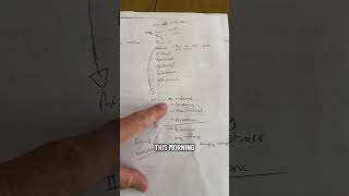 All gas no spell check😅 lets live fully! #jesus #fruitofthespirit #patience