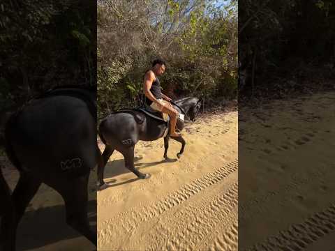 Tirullipa andando no cavalo mais caro do Wesley Safadão