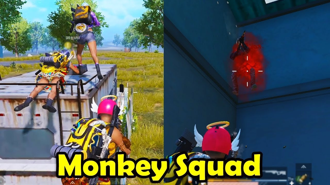 Monkey Squad Korangu Payalngala🔥😂 - YouTube
