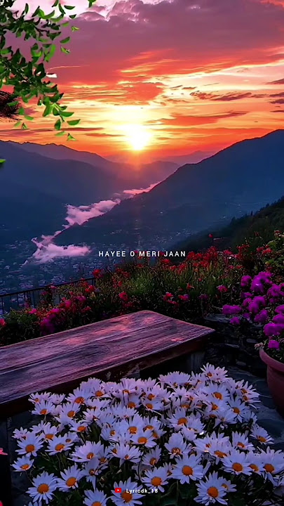 Haye O Meri Jaan Na Ho Pareshan Song - Sohena Song Status - WhatsApp status - #song​ #shorts​