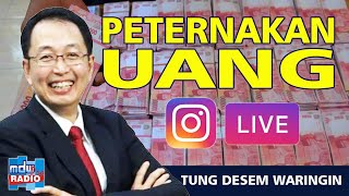 Bagaimana Mengembangkan Peternakan Uang