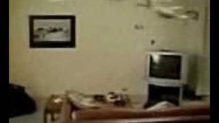 Видео бесплатно приколы наш прикол качать скачать Видео бесплатно приколы наш прикол качать скачать