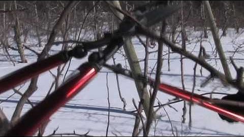 New England Apples - Pruning the Trees Part 2.mov